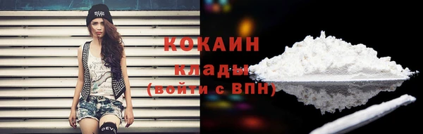 прущие крисы Новодвинск