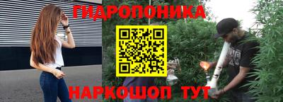 ешки Бийск