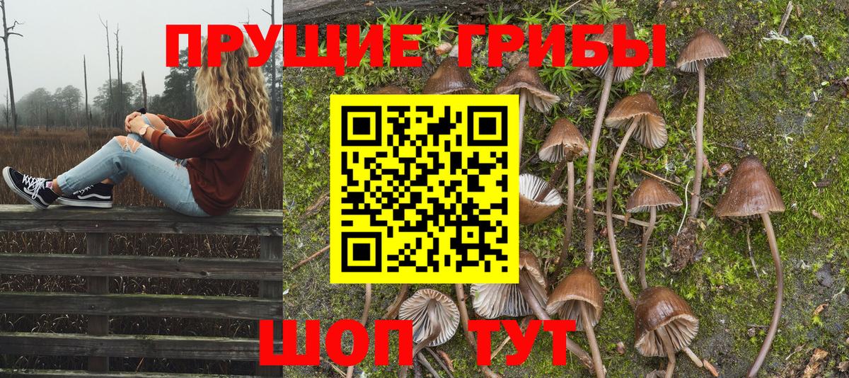 Галлюциногенные грибы MAGIC MUSHROOMS Алапаевск