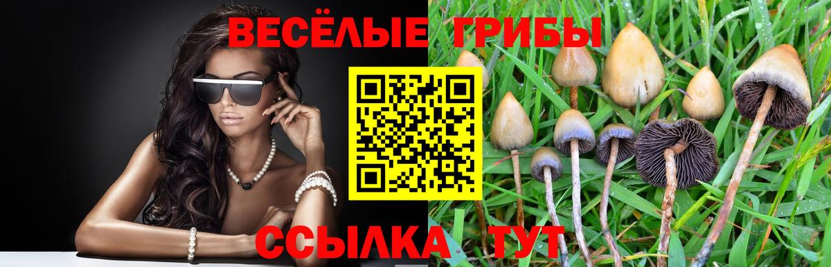 Галлюциногенные грибы мицелий  Вход с VPN  Псилоцибиновые грибы Cubensis  Алапаевск 