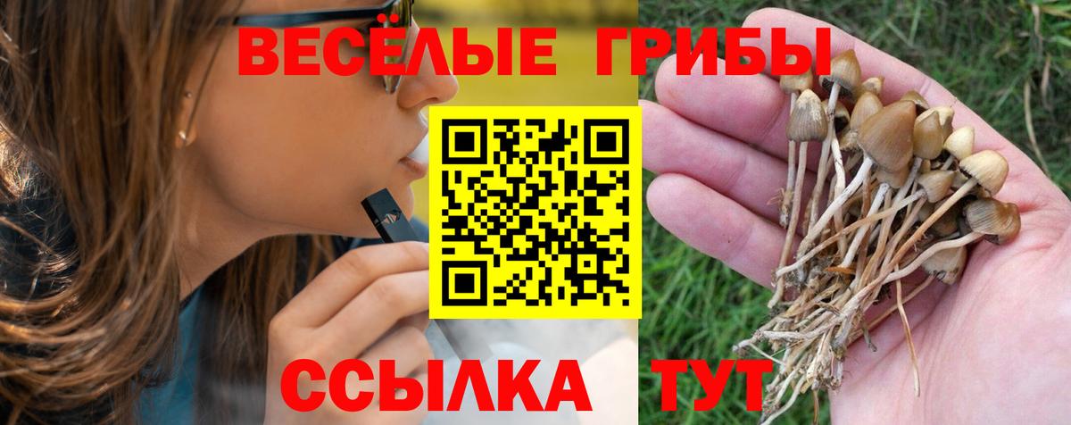 Галлюциногенные грибы Psilocybe Алапаевск