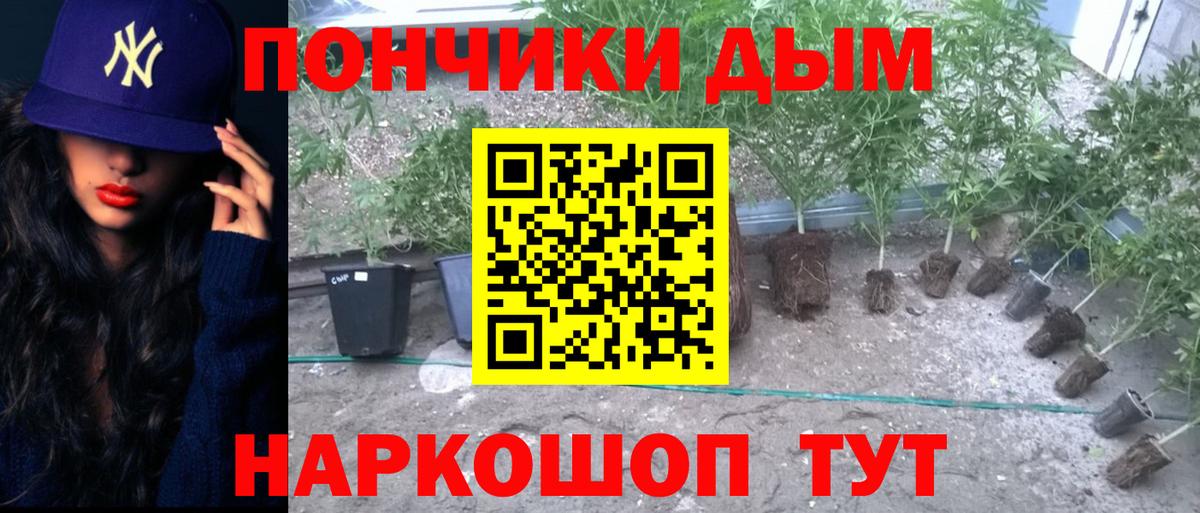 Марихуана AK-47  Конопля THC 21%  МАРИХУАНА конопля  Алапаевск 